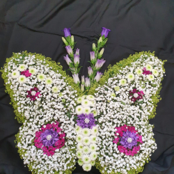 9b8e2ff6eba64b2ebb889b6054ae872c