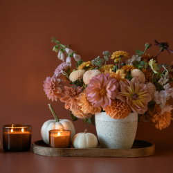 anita-austvika-mnqxjpqbO9U-unsplash