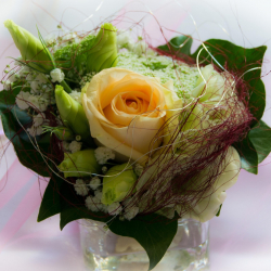 compi-service-flower-1661739_1920