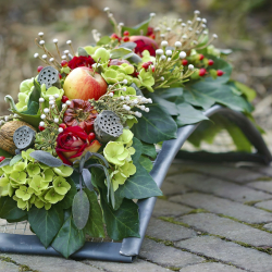 erwin-bosman-dAk9ifxV2cU-unsplash