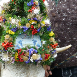 flyupmike-allgau-446606_1920