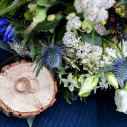 ju-ostroushko-ha02OPm2anQ-unsplash