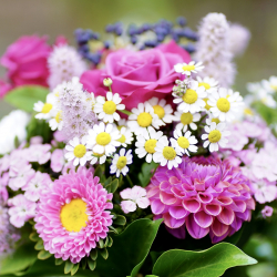 mariya_m-flowers-5472859_1920