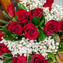 mollyroselee-roses-8759270_1920