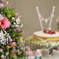 pambernadino-flower-5528405_1920 pambernadino-flower-5528405_1920