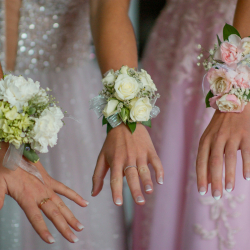 shayna-douglas-GV89QxUF4VI-unsplash