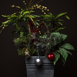 vtolmachev69-christmas-4697923_1920