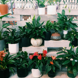 xuanming-0nqFeISM_jI-unsplash